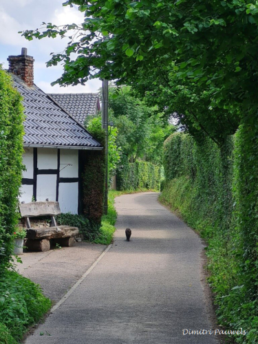 Voeren - Bronnenwandeling