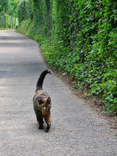 Voeren - Bronnenwandeling