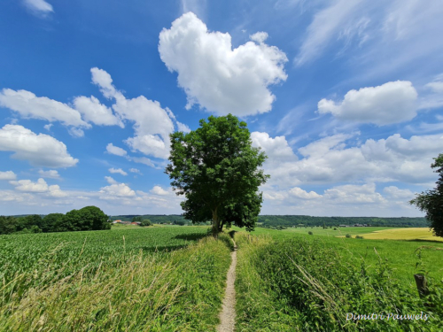 Voeren - Bronnenwandeling