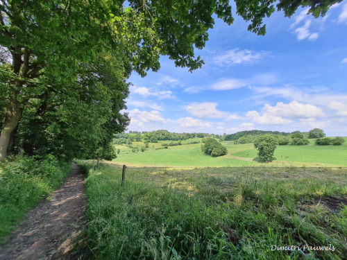 Voeren - Bronnenwandeling