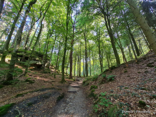 Mullerthal part Route 2