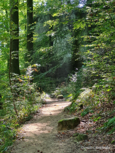 Mullerthal part Route 2