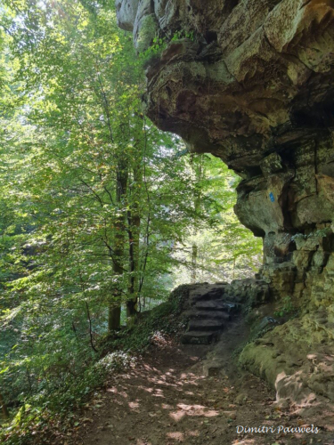 Mullerthal part Route 2