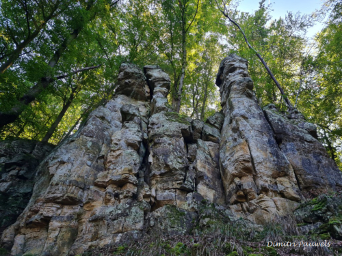 Mullerthal part Route 2