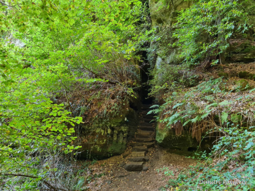 Mullerthal part Route 2