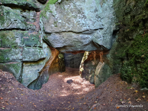 Mullerthal part Route 2