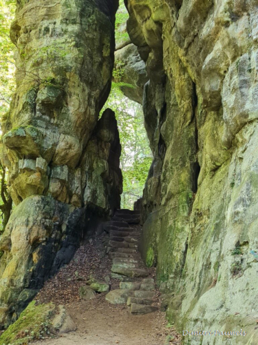 Mullerthal part Route 2