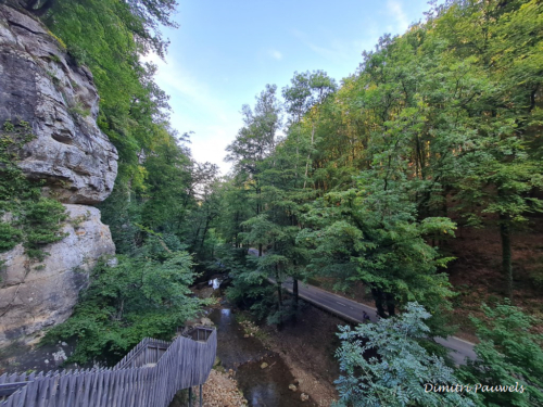 Mullerthal Stairway Mëllerdall
