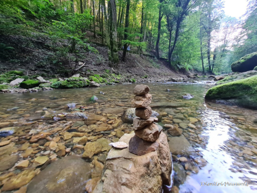 Mullerthal Black Ernz