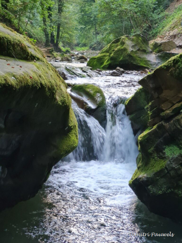 Mullerthal Black Ernz