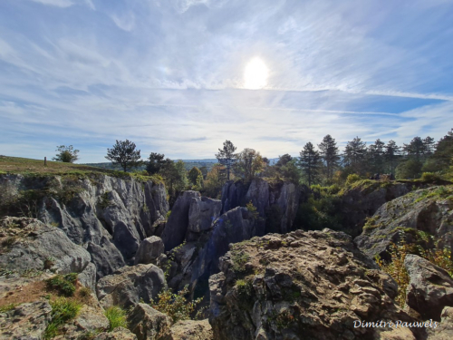 Les Fondry des Chiens