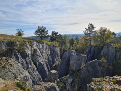 Les Fondry des Chiens