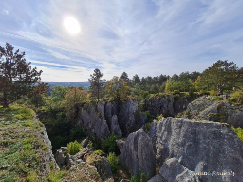 Les Fondry des Chiens