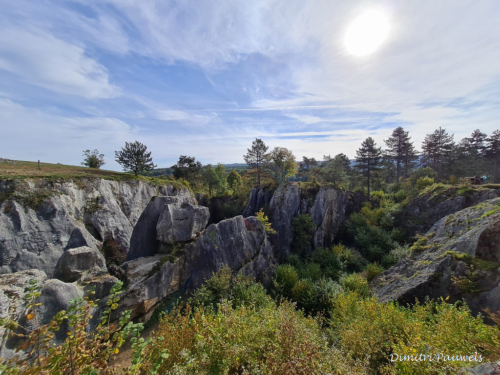 Les Fondry des Chiens