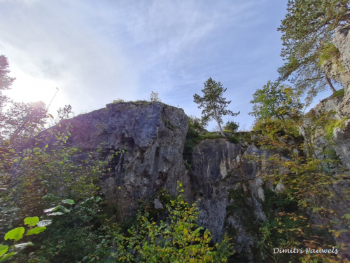 Les Fondry des Chiens