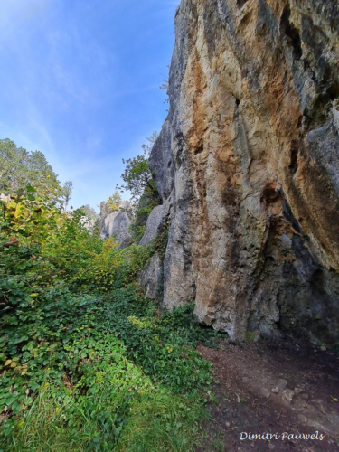 Les Fondry des Chiens