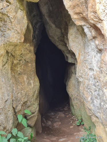 Les Fondry des Chiens