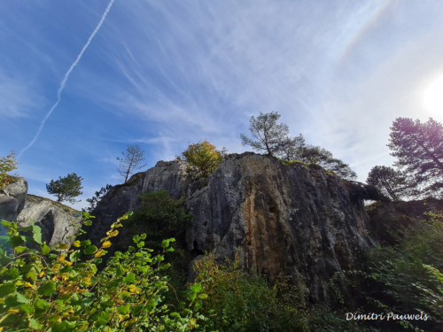 Les Fondry des Chiens