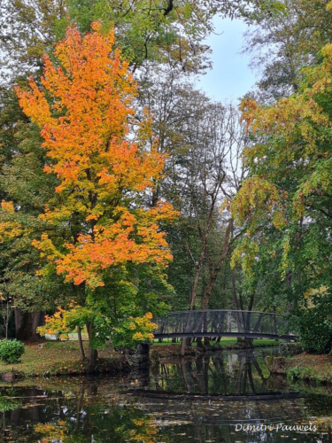 Les Jardins d'O de Nismes