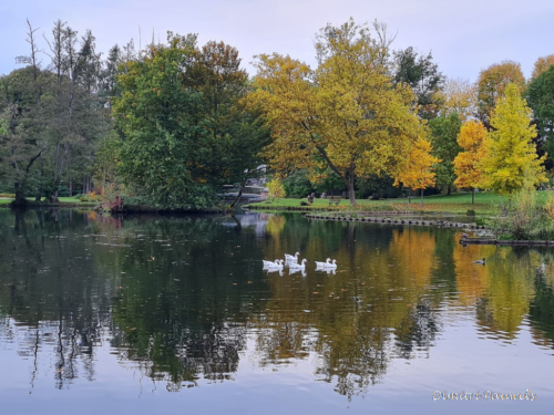 Les Jardins d'O de Nismes