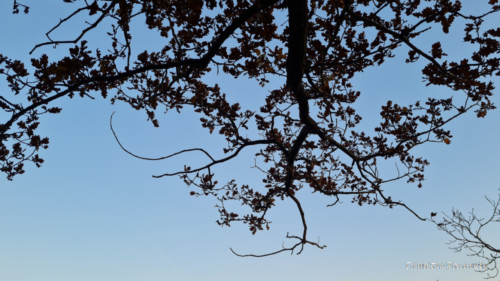 Aiguilles de Chaleux