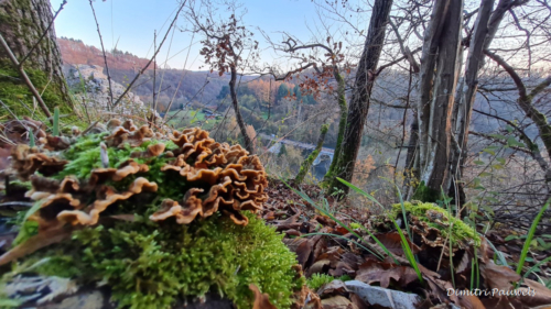 Aiguilles de Chaleux