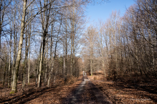 Tussen Mirwart en Smuid