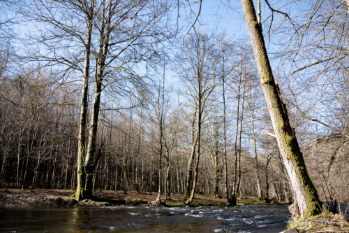 Tussen Mirwart en Smuid