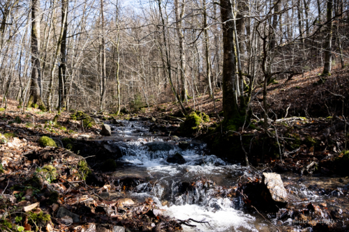 Tussen Mirwart en Smuid