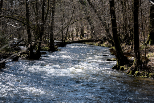 Tussen Mirwart en Smuid