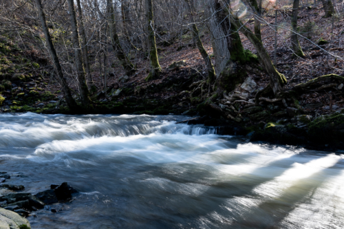 Tussen Mirwart en Smuid