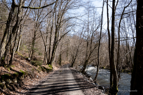 Tussen Mirwart en Smuid