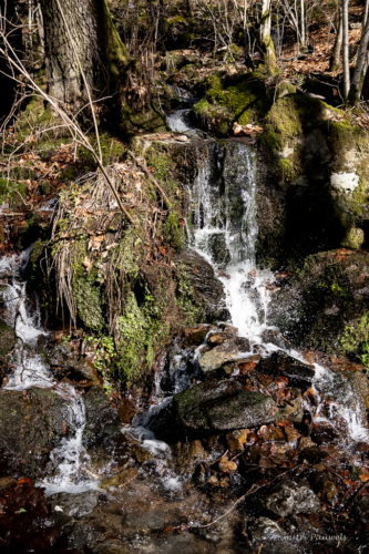 Tussen Mirwart en Smuid