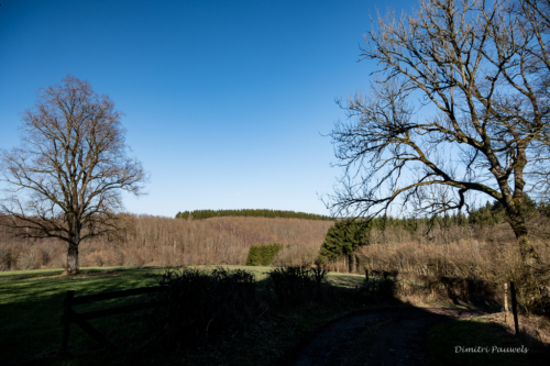 Tussen Mirwart en Smuid