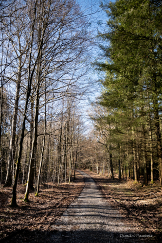 Tussen Mirwart en Smuid