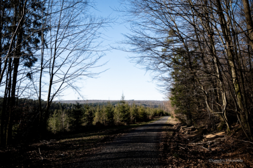 Tussen Mirwart en Smuid