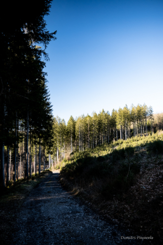 Tussen Mirwart en Smuid