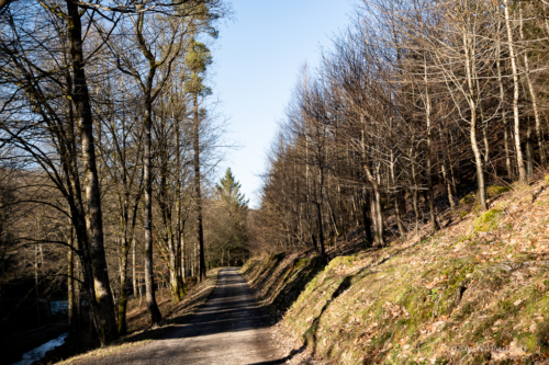 Tussen Mirwart en Smuid