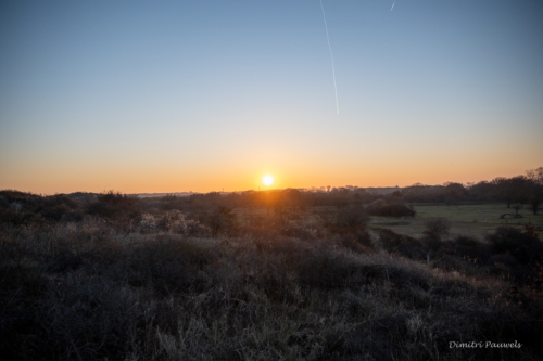 Les Dunes des Flandre