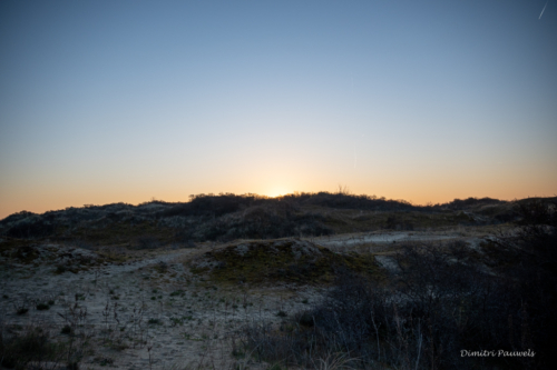 Les Dunes des Flandre