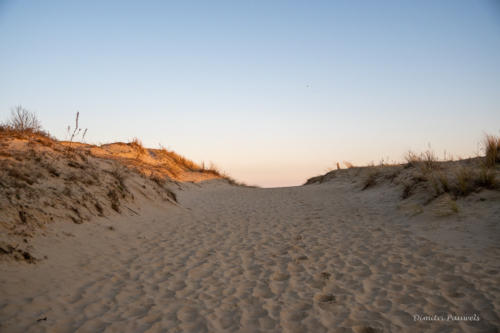 Les Dunes des Flandre