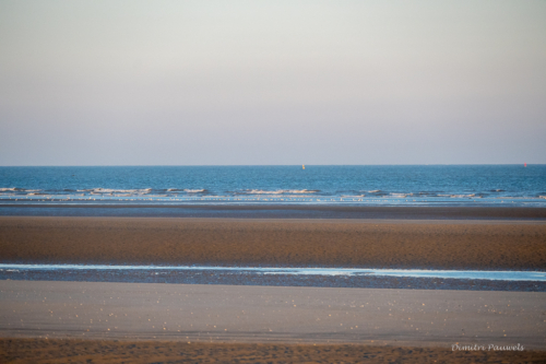 Les Dunes des Flandre