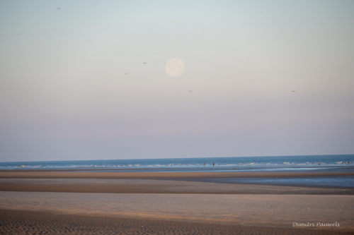 Les Dunes des Flandre