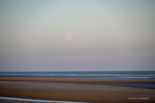 Les Dunes des Flandre