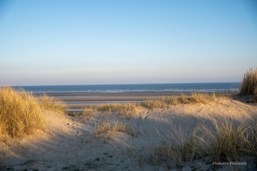 Les Dunes des Flandre