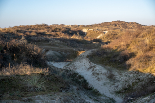 Les Dunes des Flandre