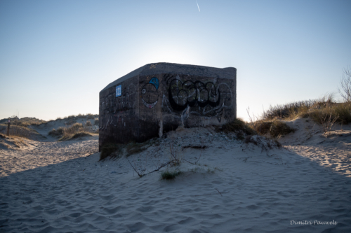 Les Dunes des Flandre