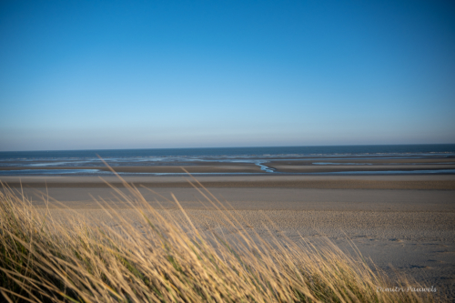Les Dunes des Flandre