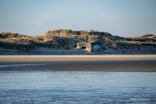 Les Dunes des Flandre