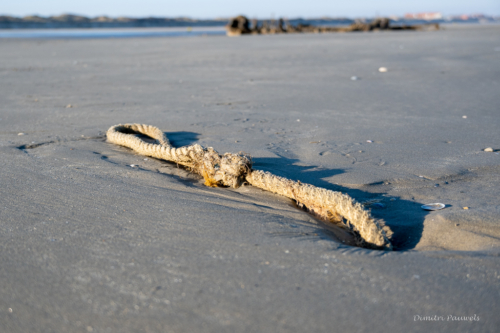 Les Dunes des Flandre